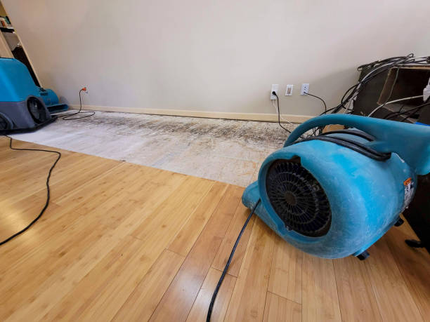Professional Burst Pipe Water Damage technician working in Summerland, CA